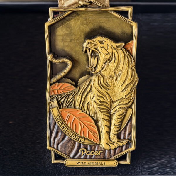 Innovative Medal Designs - Stand Out in the Crowd