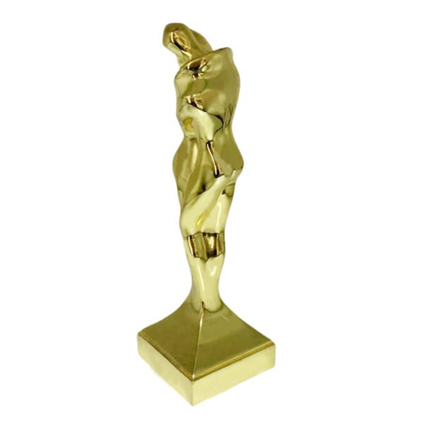 Customer Excellence Award - Image 2