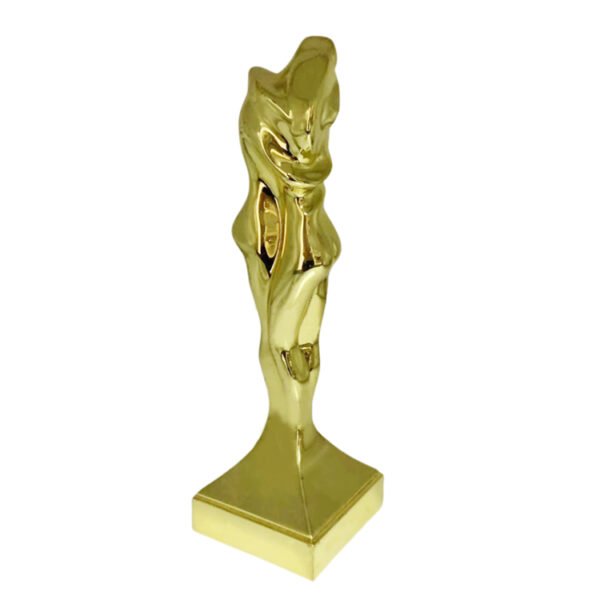 Customer Excellence Award - Image 4