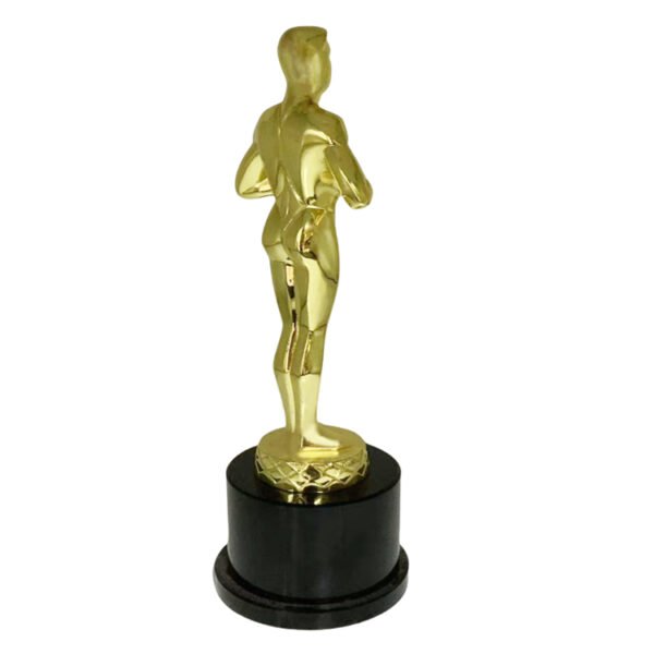 Lifetime Achievement Award - Image 2
