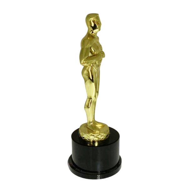 Lifetime Achievement Award - Image 3