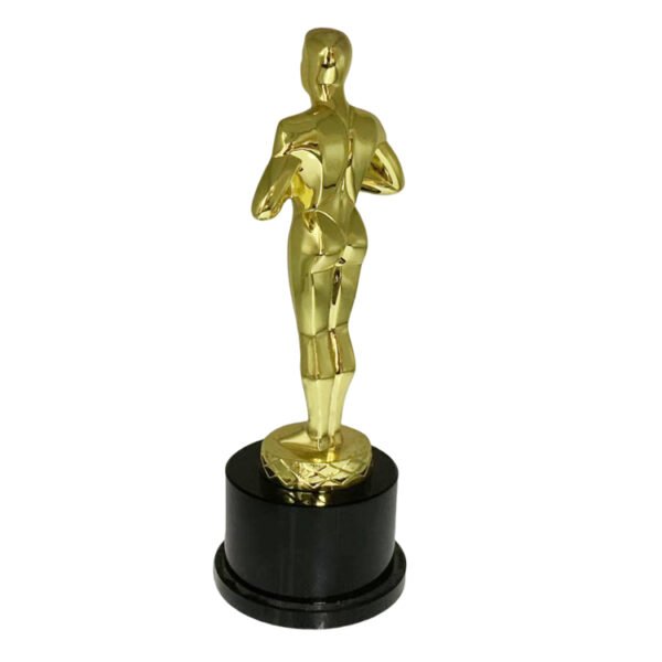 Lifetime Achievement Award - Image 6