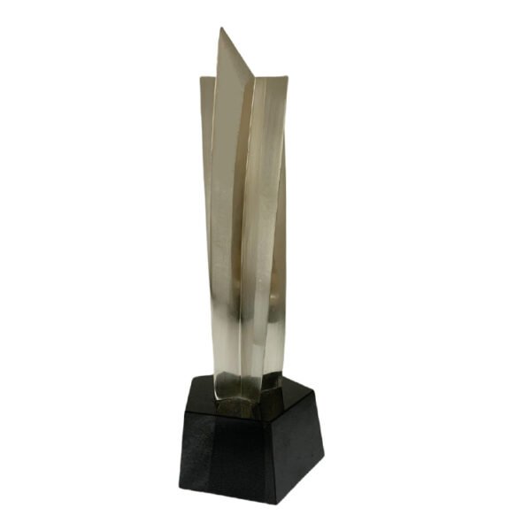 Rising Star Award