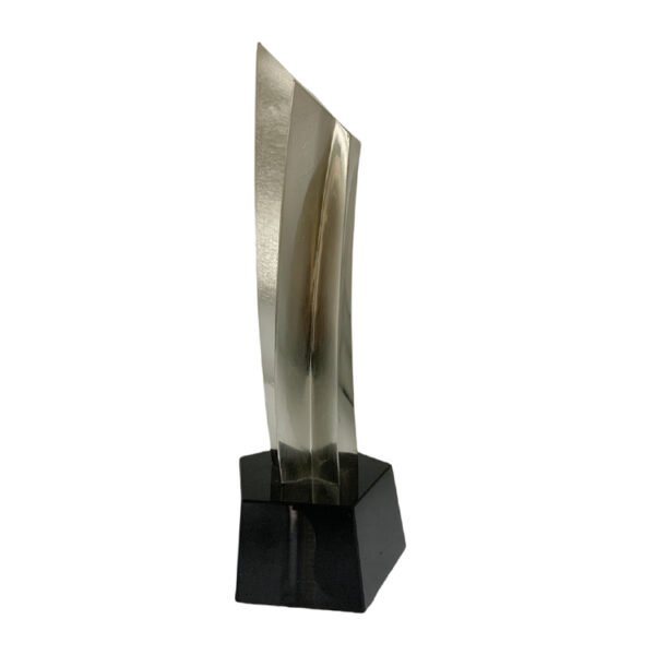 Rising Star Award - Image 2