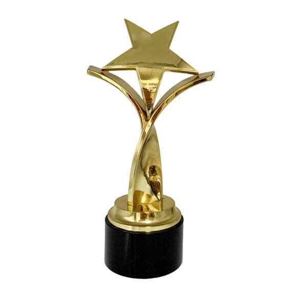 Gold Standard Award