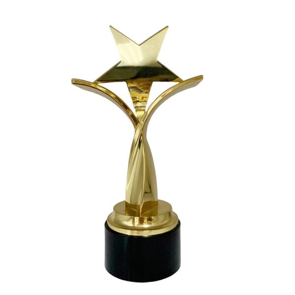 Gold Standard Award - Image 2