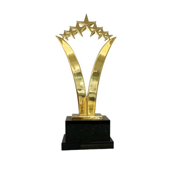 Community Hero Award - Image 2