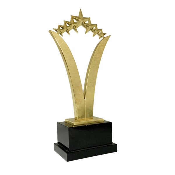 Community Hero Award - Image 3